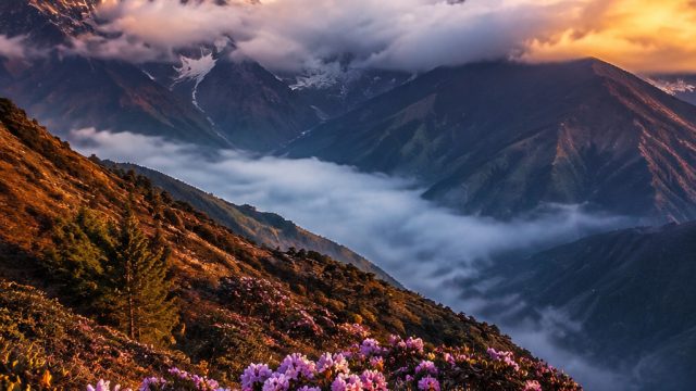 Nature's Majesty: Stunning Himalayan Landscapes as Your Background