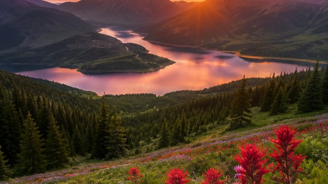 Captivating Landscapes: Elevate Your Device's Aesthetics