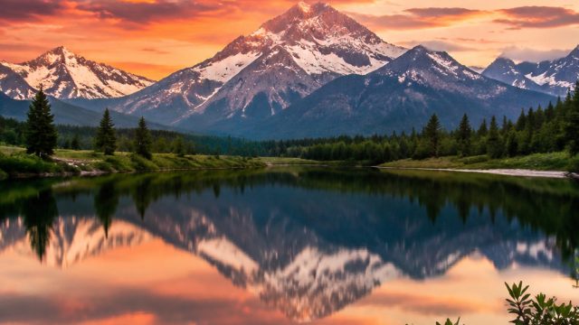 Vibrant Harmony: Stunning Wallpapers to Enliven Your Screens