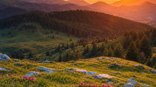 The Allure of Nature: Transform Your Screen with Serene Landscapes