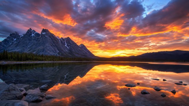 Transform Your Screen with Vibrant Wallpaper Themes