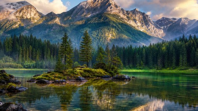 Transform Your Space with Elegant Nature Wallpapers