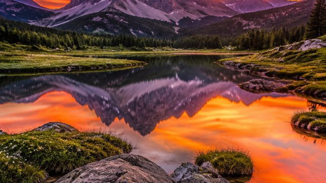 Captivating Moments: A Visual Journey Through Nature's Artistry