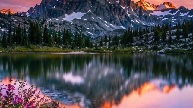 Captivating Nature: Vibrant Wallpapers that Inspire