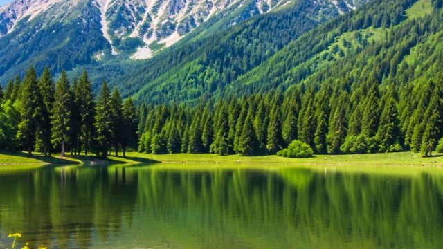 Captivating Summer Landscapes: Arxan National Forest Park