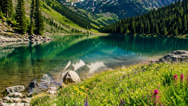 Breathtaking Summer Landscapes: Nature's Vibrant Palette
