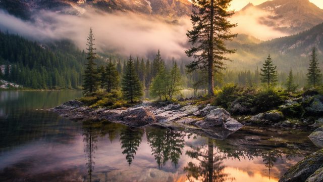 Embracing Nature: Serene Landscapes for Your Device