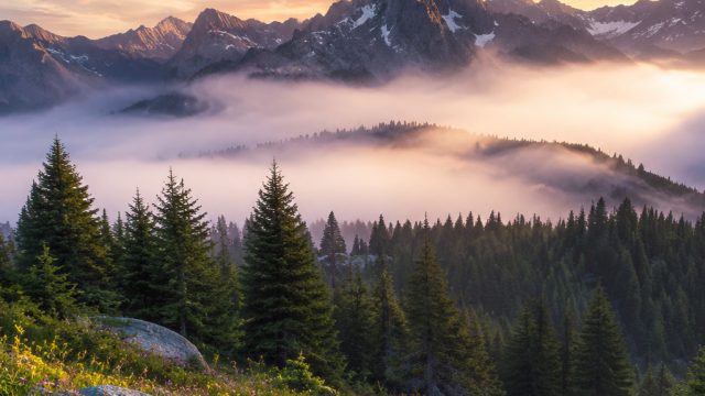Nature's Serenity: Captivating Wallpaper Gallery for Every Device