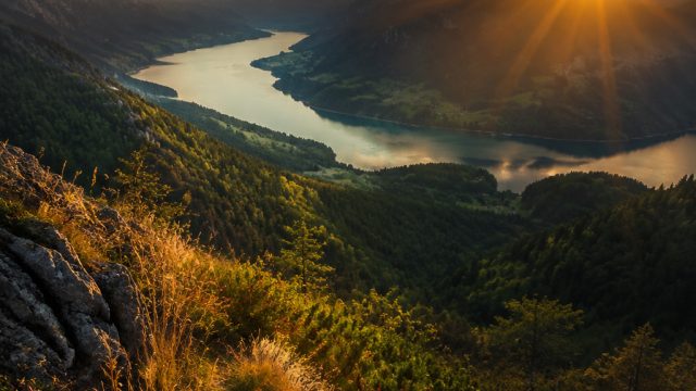 Discover the Allure of Nature in Stunning Wallpaper Designs