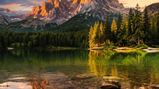 Exploring the Tranquil Beauty of Nature-Inspired Wallpapers