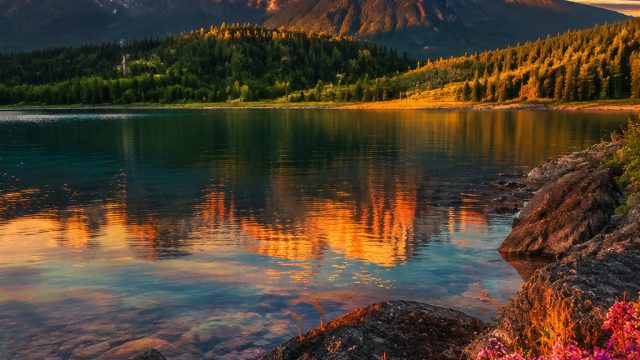 Captivating Landscapes: The Perfect Phone and Desktop Backgrounds