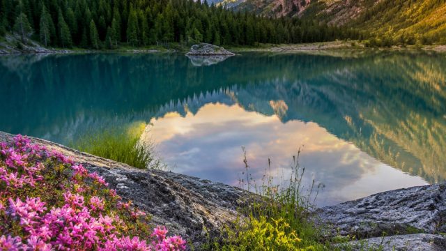 Captivating Nature: Embrace Vibrant Landscapes for Your Screens