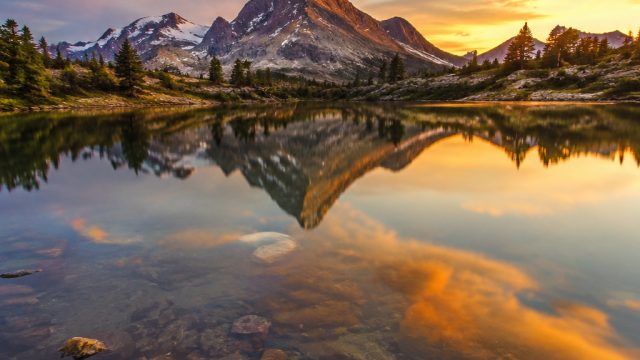 Top 10 Photography Trends to Inspire Your Wallpaper Design Choices