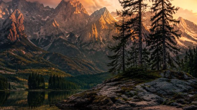 Captivating Visuals: Wallpaper Themes for Every Mood