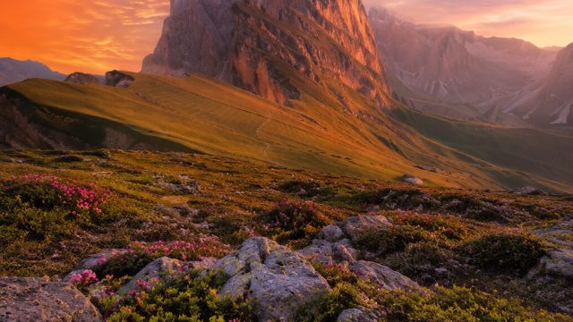 Capturing Nature's Essence: The Art of Landscape Photography