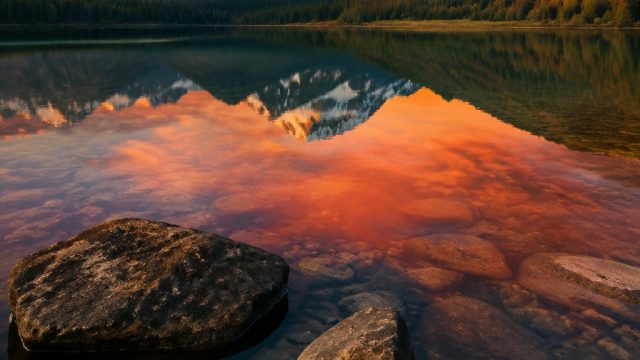 Captivating Visuals: Explore Melvado's Wallpaper Gallery