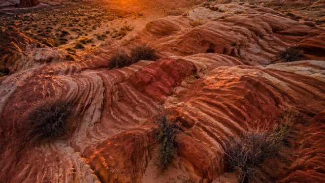 Innovative Design in Photography: The Use of Color and Texture