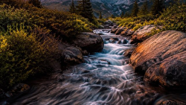 Exploring Visual Storytelling in Photography