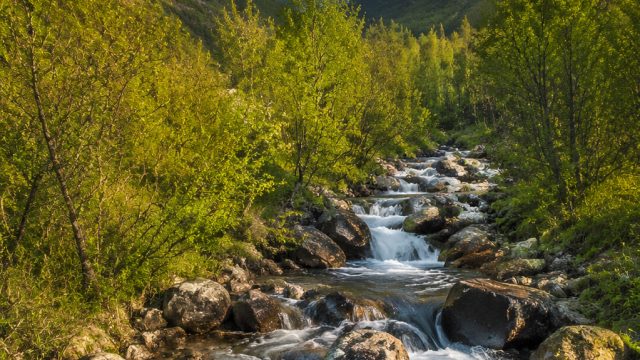Captivating Natural Landscapes for Your Device Backgrounds