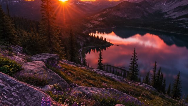 Captivating Nature: Embrace Tranquility with Stunning Wallpapers