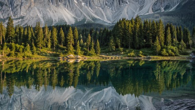 Embrace Tranquility: Serene Nature Wallpaper Collection