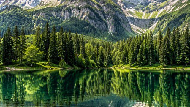 Captivating Nature Wallpapers: Enchant Your Screen with Beauty