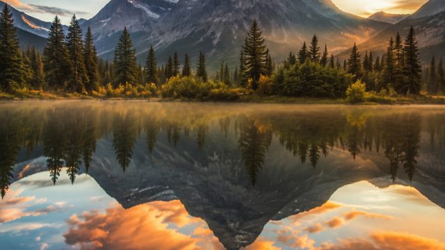 Captivating Reflections: The Allure of Nature in Wallpaper Art