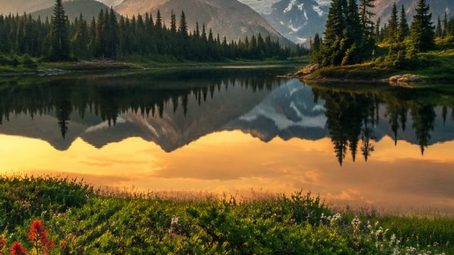 Embrace Serenity: Stunning Wallpaper Themes for Modern Devices