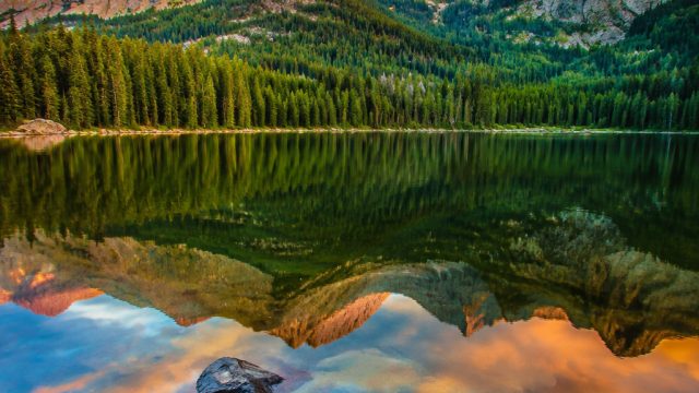 Celebrate Serenity with Nature-Inspired Wallpaper Selections