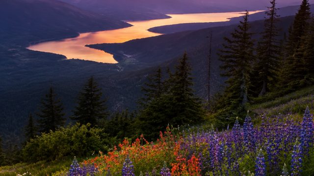 Embrace the Serenity of Nature with Captivating Wallpapers