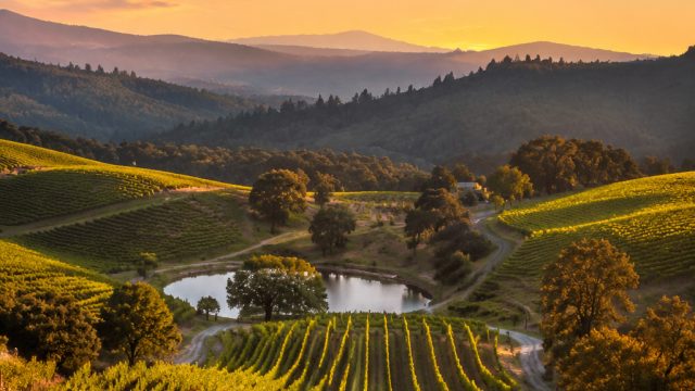 Breathtaking California Wine Country: A Visual Feast for Your Screens