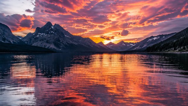 Explore Stunning Visual Themes for Your Screens