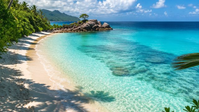 Serenity Awaits: Captivating Caribbean Landscapes for Your Screen