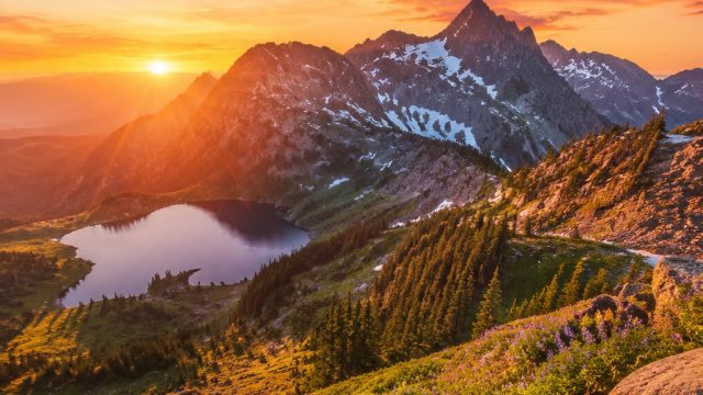 Explore a World of Beauty: Stunning Nature Wallpapers for Your Devices