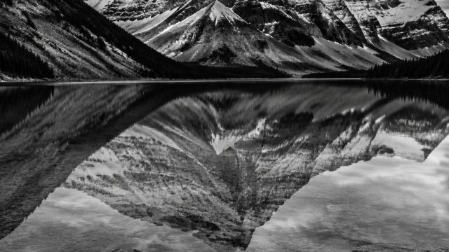 Monochrome Elegance: Striking Black and White Wallpapers