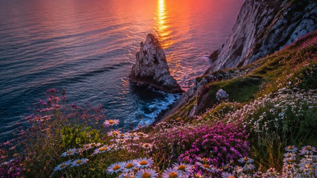 Breathtaking Nature Wallpapers for Every Mood