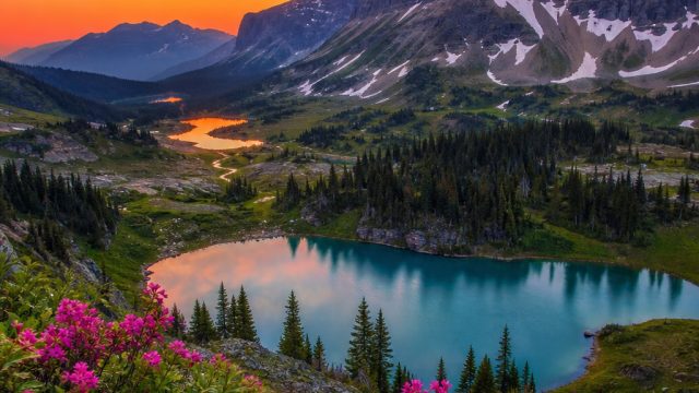 Captivating Nature Scenes: Transform Your Screen with Vibrant Wallpapers
