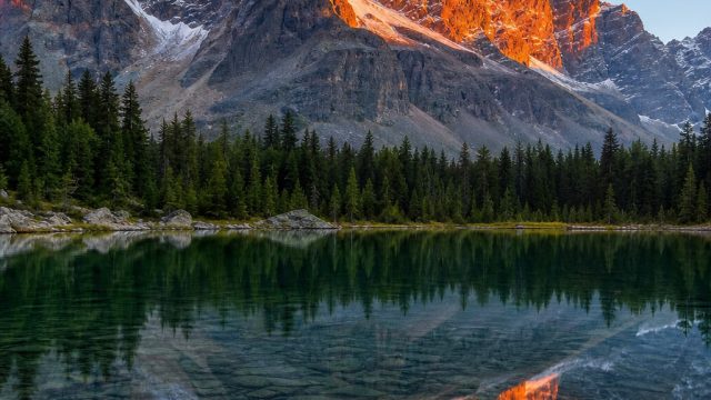 Captivating Visuals: Transform Your Space with Stunning Wallpapers