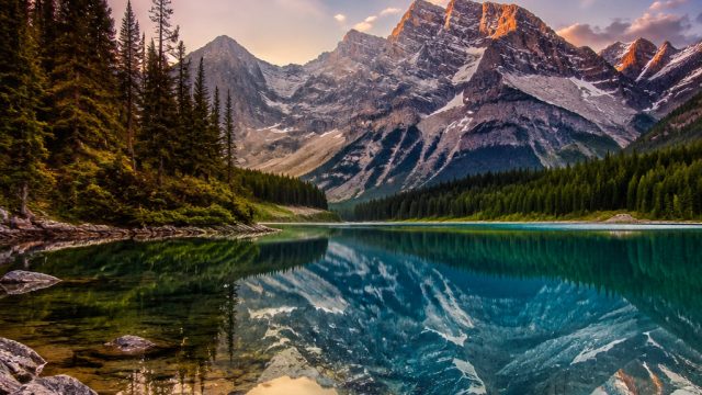 Captivating Nature: Your New Favorite Wallpaper Gallery