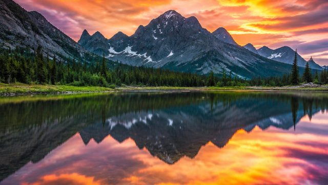 The Role of Color in Photography: Enhancing Visual Impact