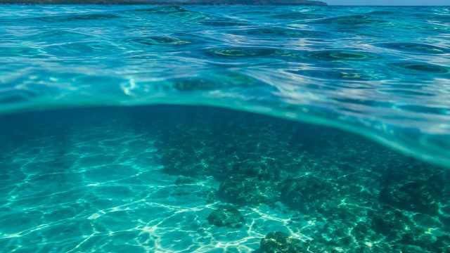 Dive into Serenity: Aquatic Wallpapers for Every Screen