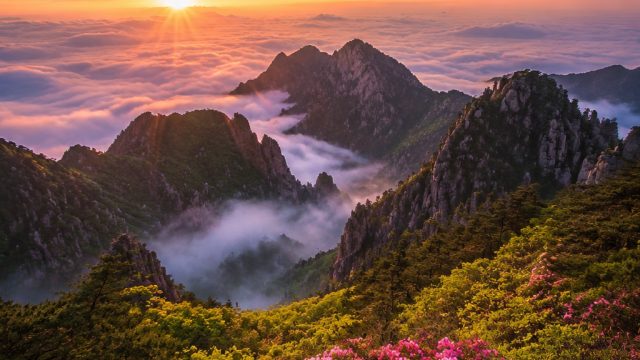 Ethereal Scenery: Serene Wallpaper Inspirations for Every Screen