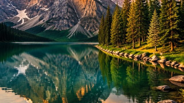 Captivating Nature: How Photography Wallpapers Bring the Outdoors Inside