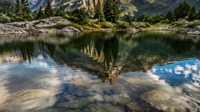 Captivating Nature Scenes: Perfect Backgrounds for Every Device