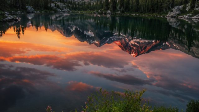 The Beauty of Nature Photography: Capturing Earth’s Wonders