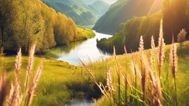 Captivating Nature: A Breath of Fresh Air for Your Screens