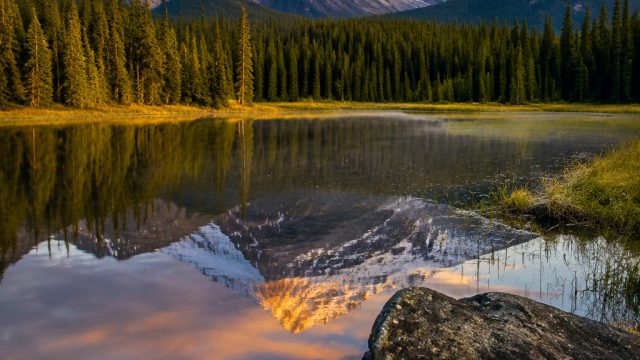 Exploring the Allure of Tranquil Landscapes in Wallpaper Art