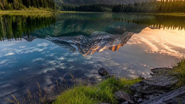 Captivating Nature Wallpapers: Elevate Your Screen Aesthetics