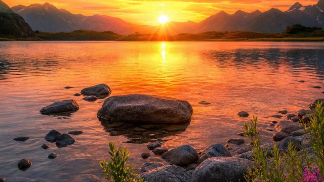 Transform Your Screen with Vibrant Nature Wallpaper Themes