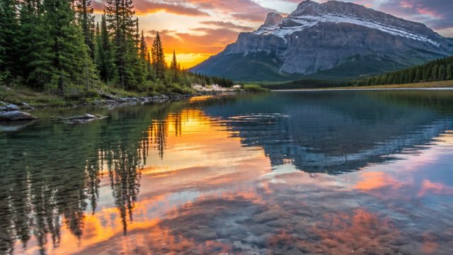 Embrace Serenity: Captivating Nature Wallpapers for Your Screens